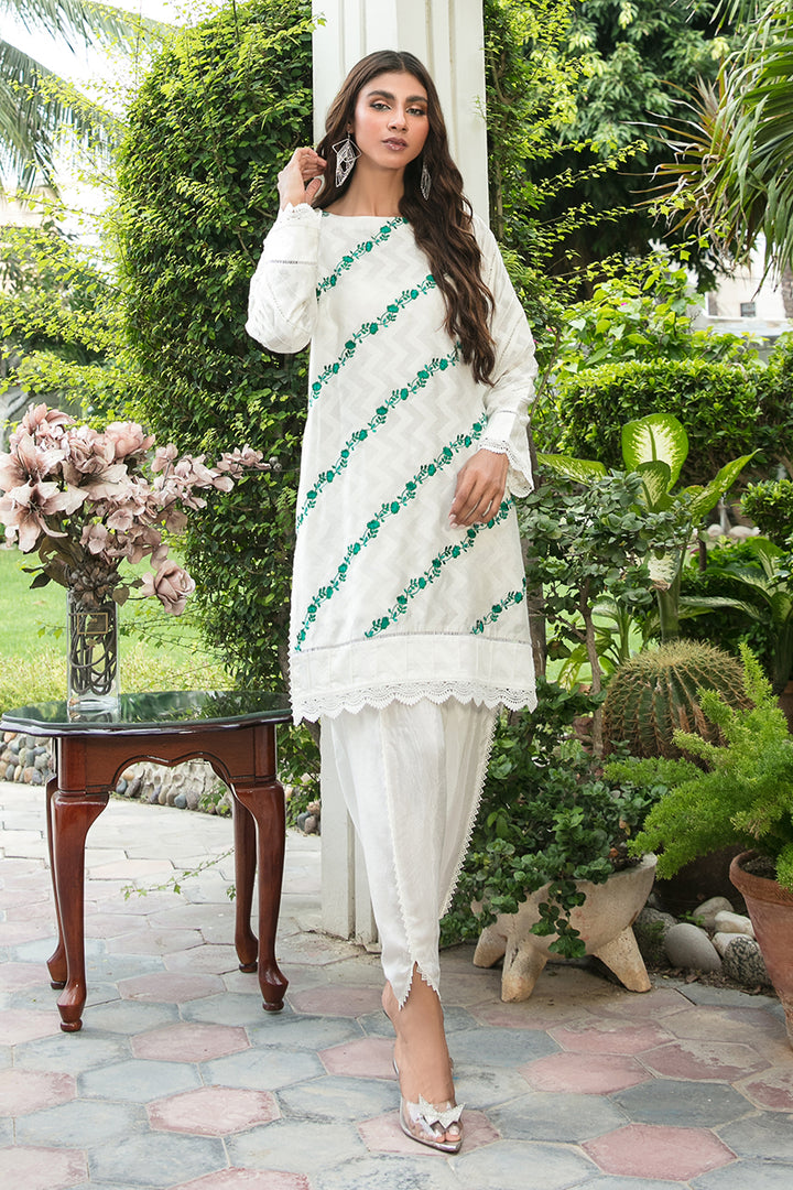 Shirt And Trouser-Khaddi Net